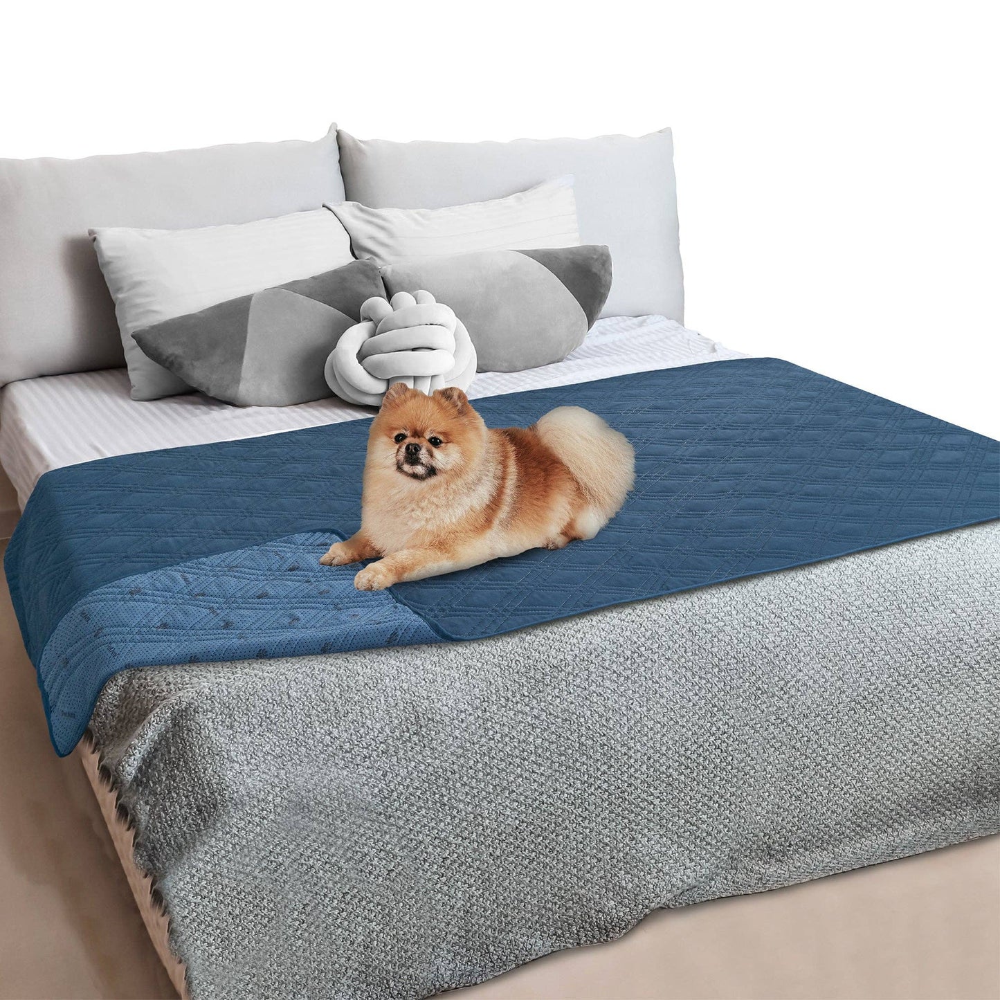Waterproof Pet Furniture Cover Couch Protector: Charcoal / 68" x 82" - Edwina Alexis
