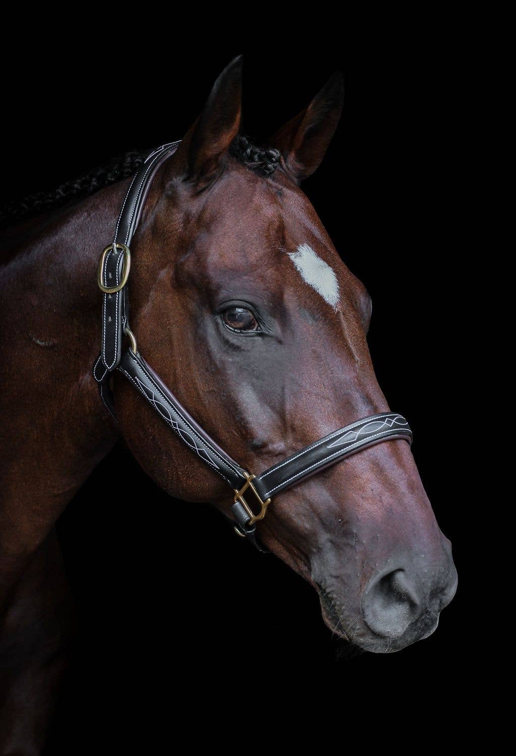 The Derby Halter: Warmblood / Havana Leather with Navy Padding - Edwina Alexis