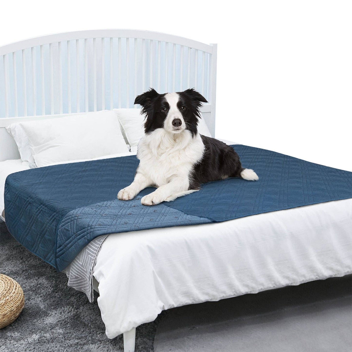 Waterproof Pet Furniture Cover Couch Protector: Charcoal / 68" x 82" - Edwina Alexis