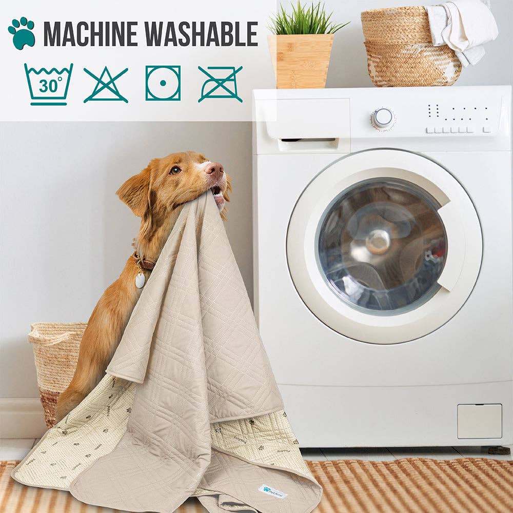 Waterproof Pet Furniture Cover Couch Protector: Charcoal / 68" x 82" - Edwina Alexis