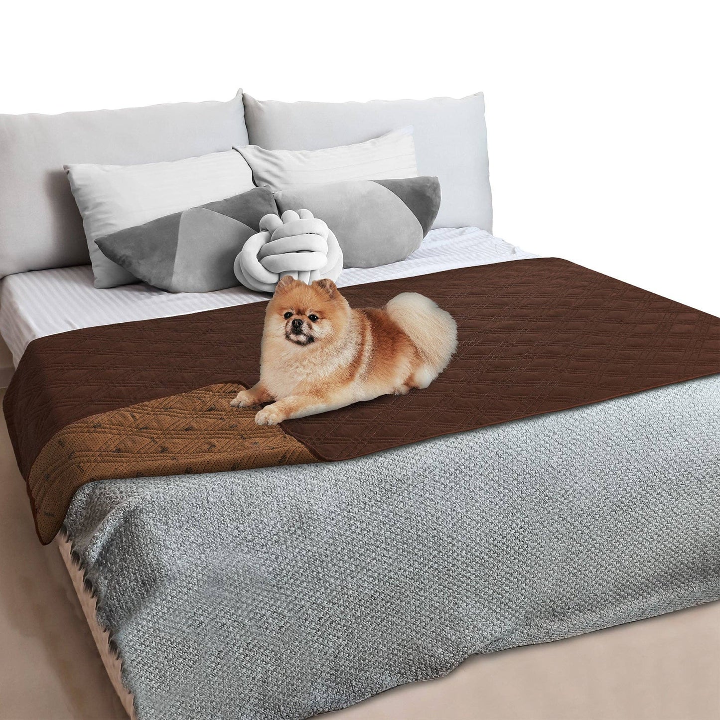Waterproof Pet Furniture Cover Couch Protector: Charcoal / 68" x 82" - Edwina Alexis