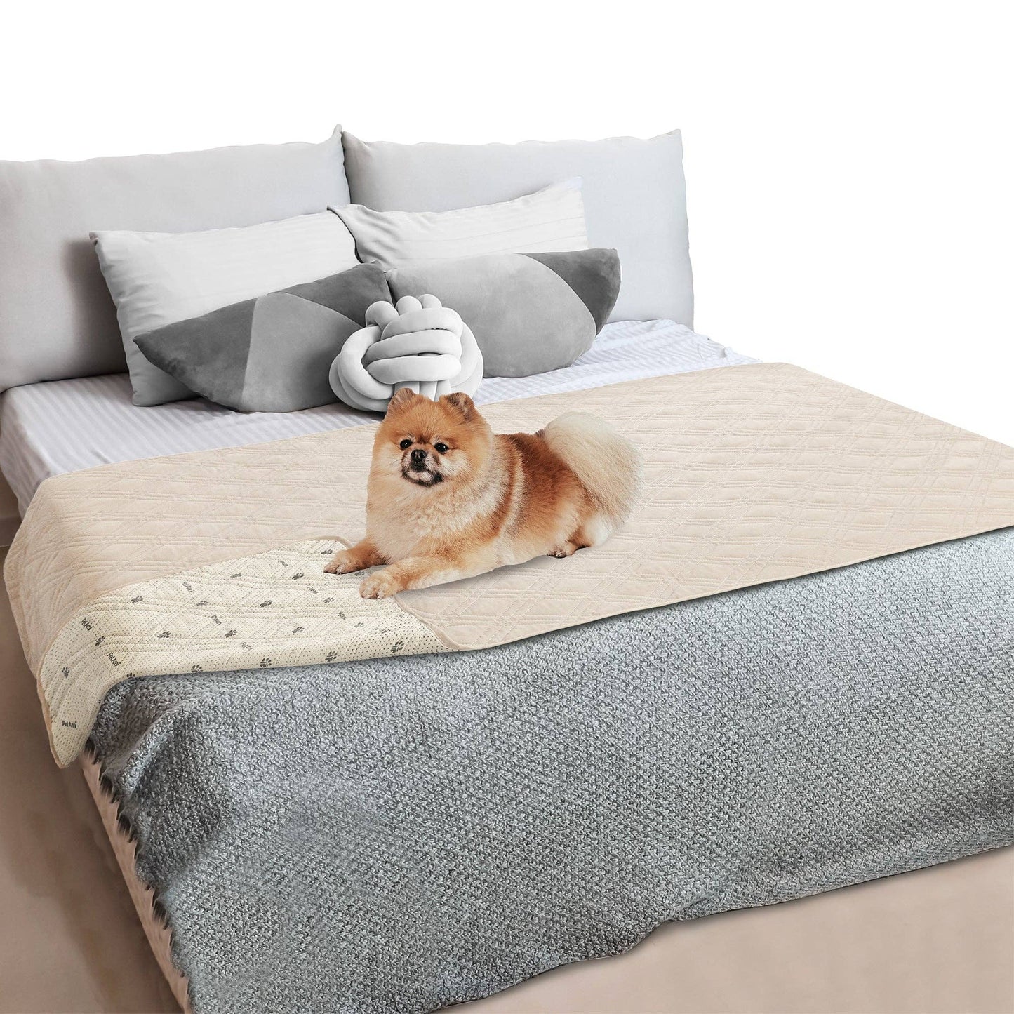 Waterproof Pet Furniture Cover Couch Protector: Charcoal / 68" x 82" - Edwina Alexis