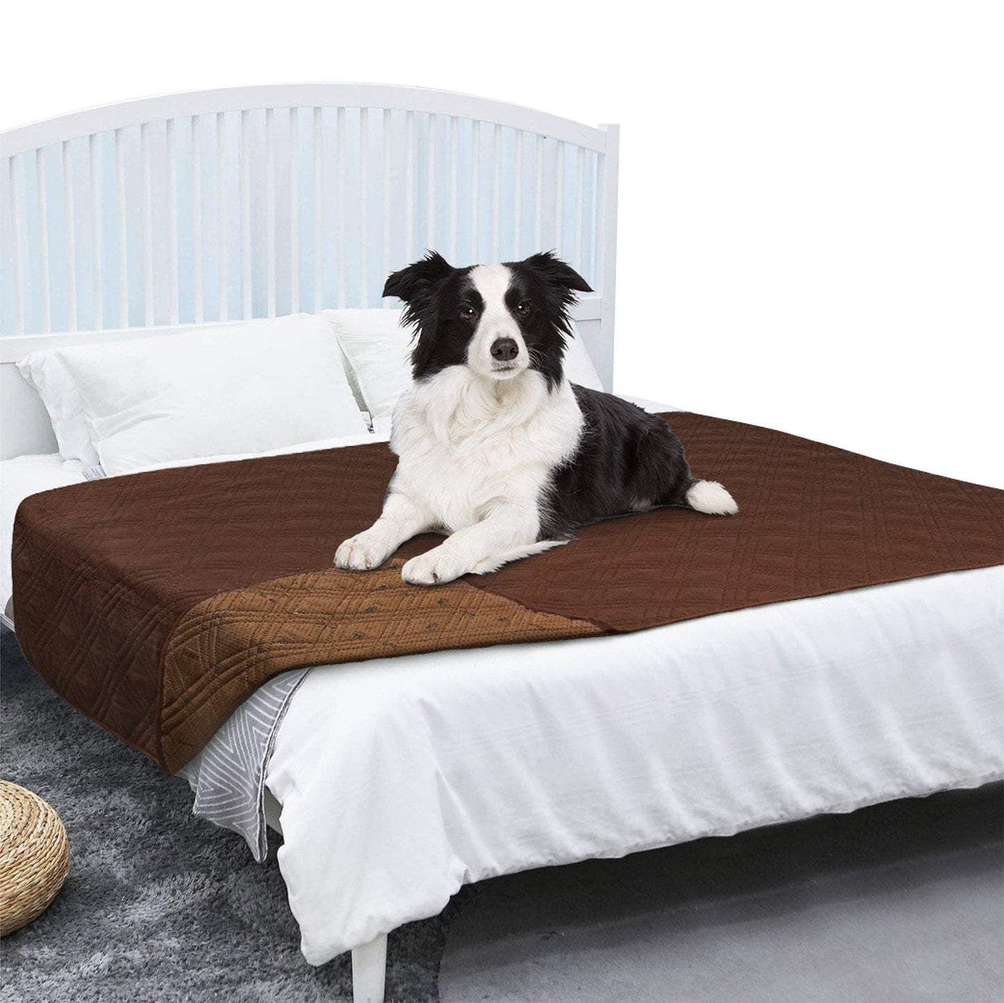 Waterproof Pet Furniture Cover Couch Protector: Charcoal / 68" x 82" - Edwina Alexis