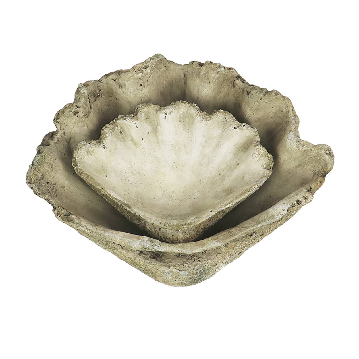 Cast Concrete Clam Shell: Large - Edwina Alexis