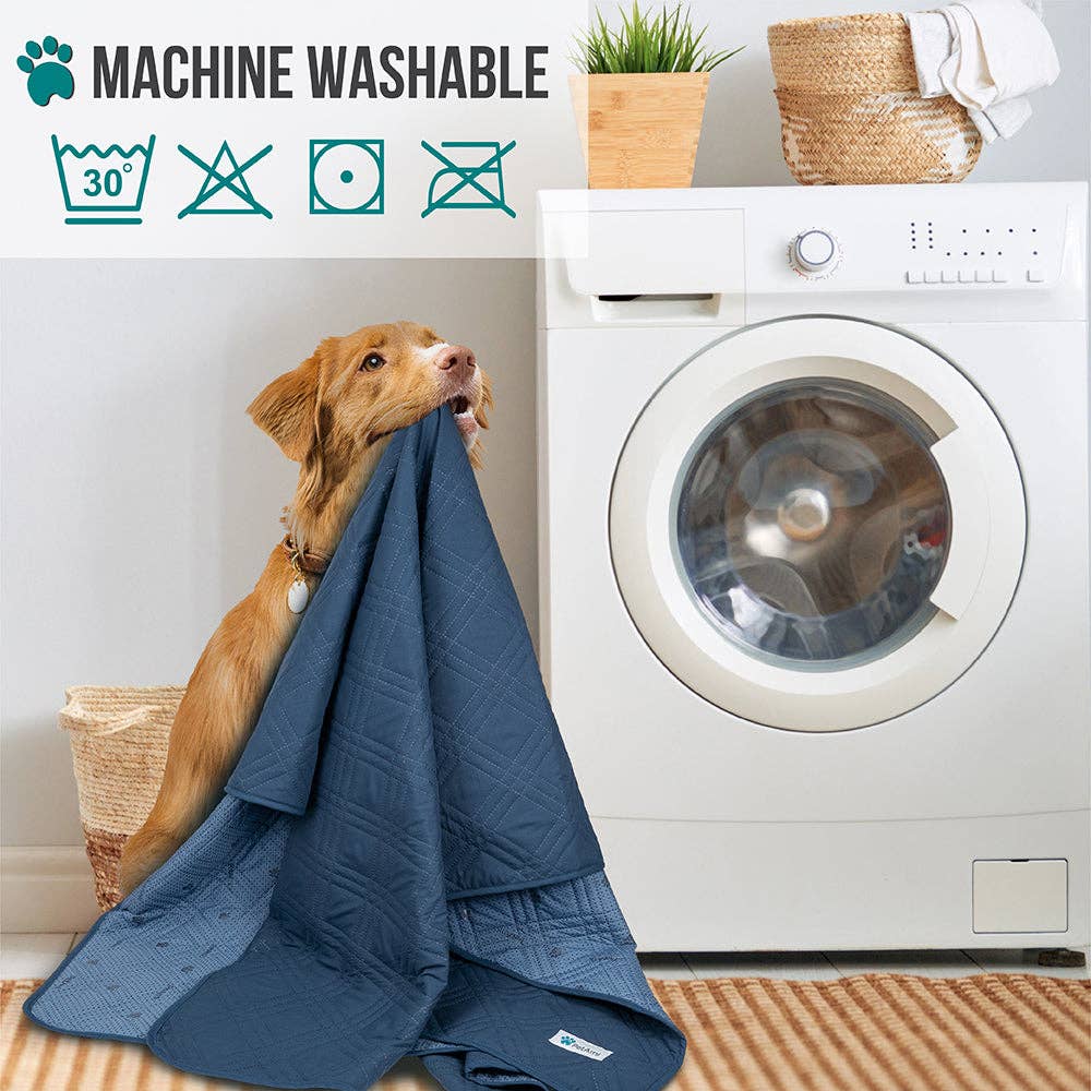Waterproof Pet Furniture Cover Couch Protector: Charcoal / 68" x 82" - Edwina Alexis