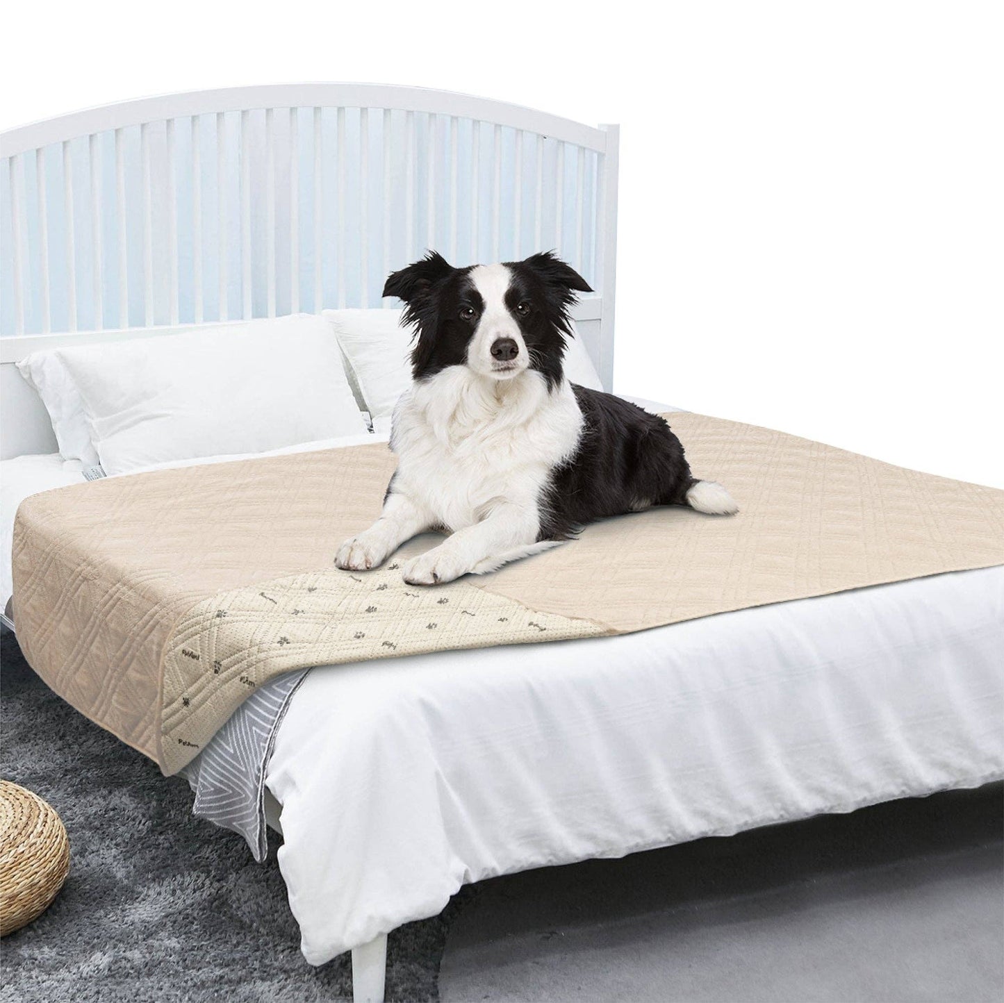 Waterproof Pet Furniture Cover Couch Protector: Charcoal / 68" x 82" - Edwina Alexis