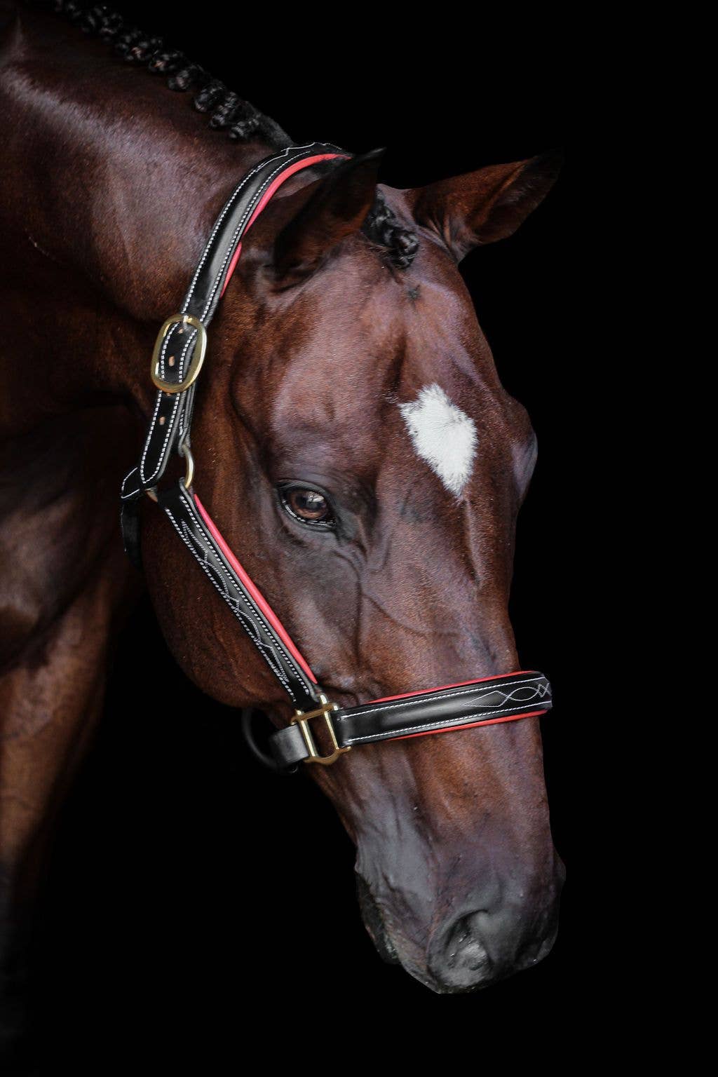 The Derby Halter: Warmblood / Havana Leather with Navy Padding - Edwina Alexis