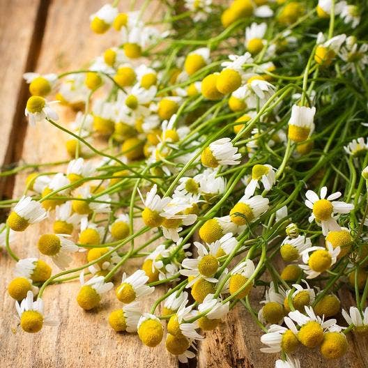 Pocket Garden | Herbal Tea | Spring | Best Seller