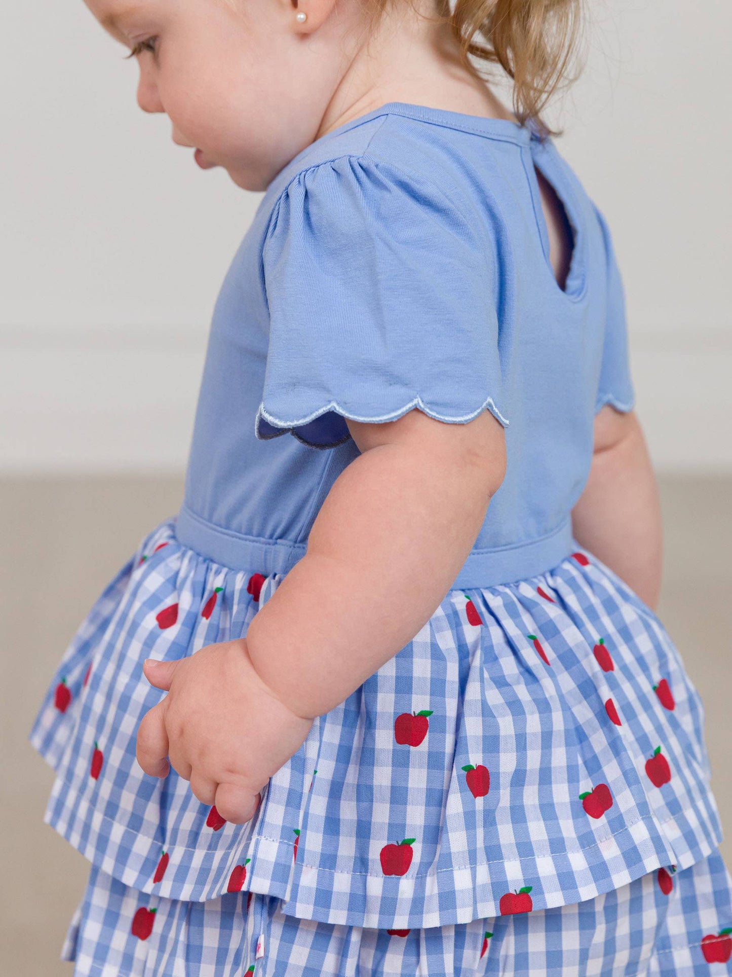 Baby Girls Apple Orchard Classic Gingham Short Sleeve Skirted Romper
: Blue / 12-18m