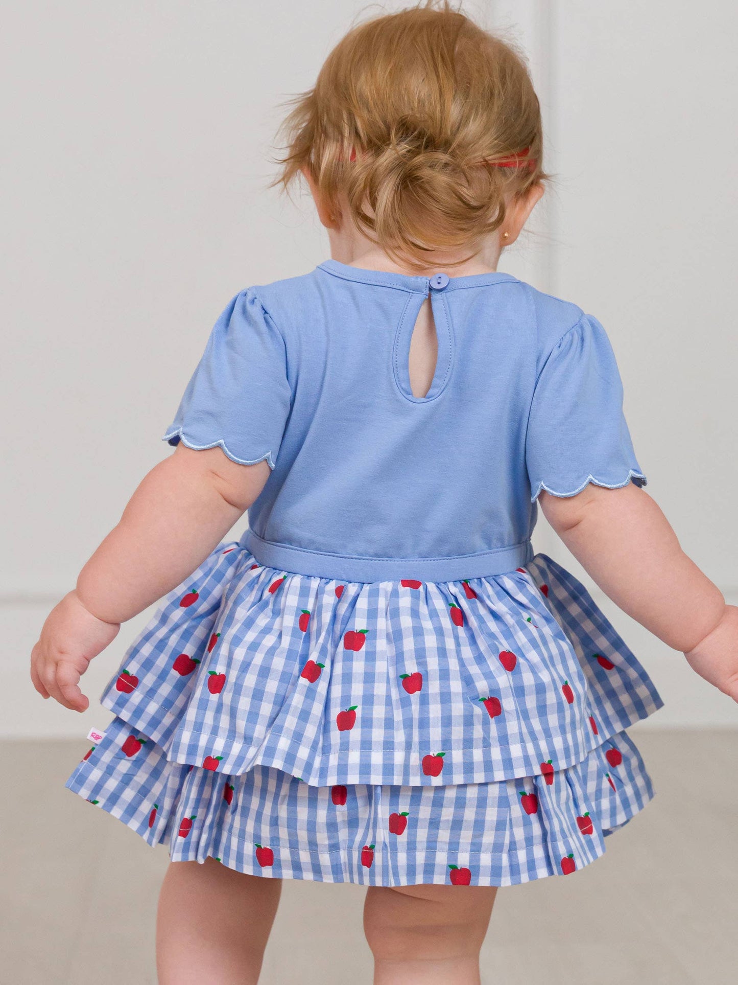 Baby Girls Apple Orchard Classic Gingham Short Sleeve Skirted Romper
: Blue / 12-18m