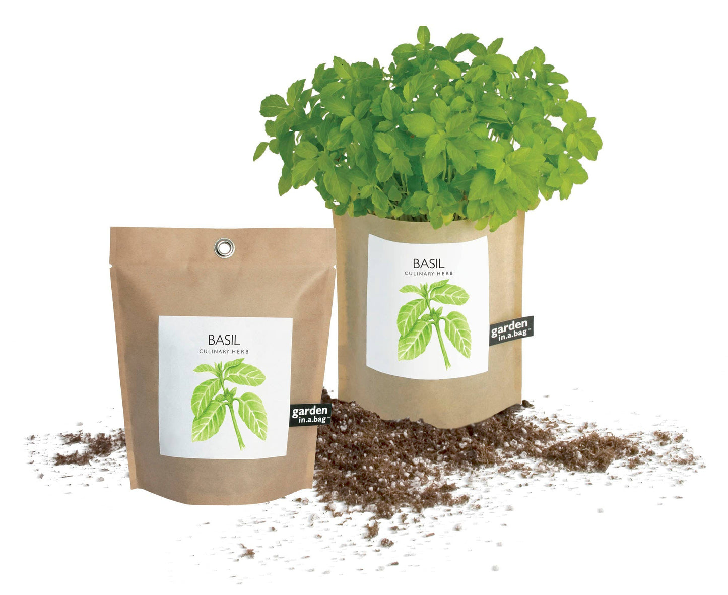 Garden in a Bag | Basil | Gift idea for Cooks | Best Seller