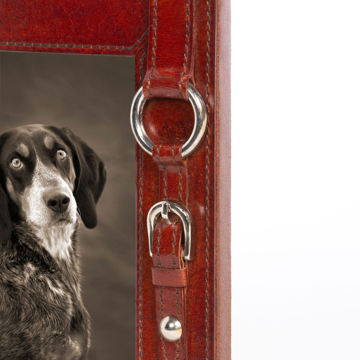 Equestrian Strap Leather Photo Frame (Small) - Edwina Alexis