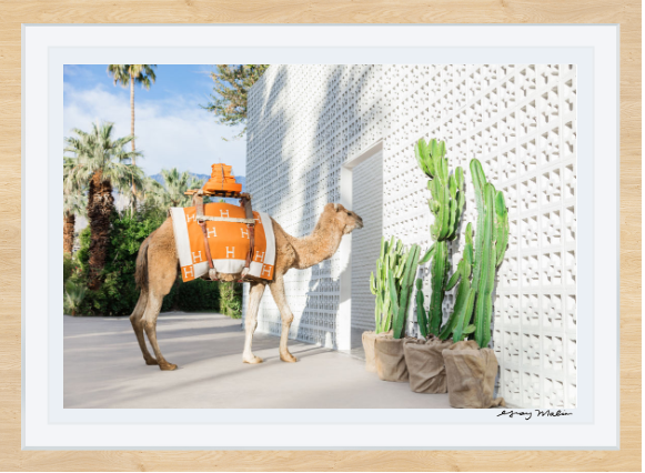 The Camel Porter 1 - Edwina Alexis