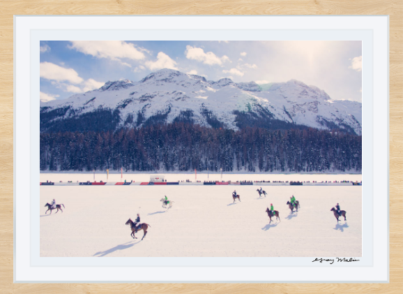 The Field - Edwina Alexis