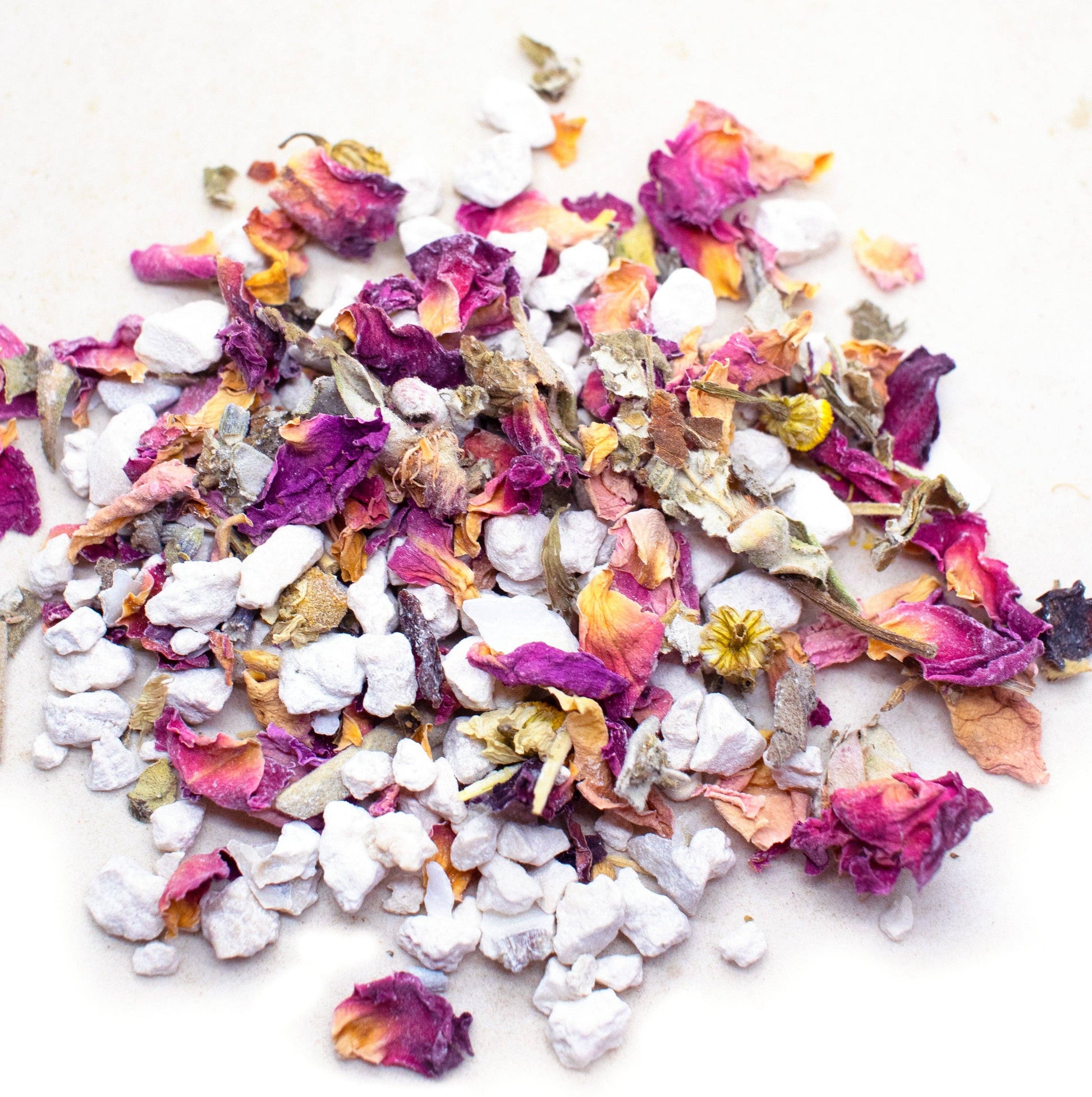Herbal Oyster Shells (3 pounds) - Edwina Alexis