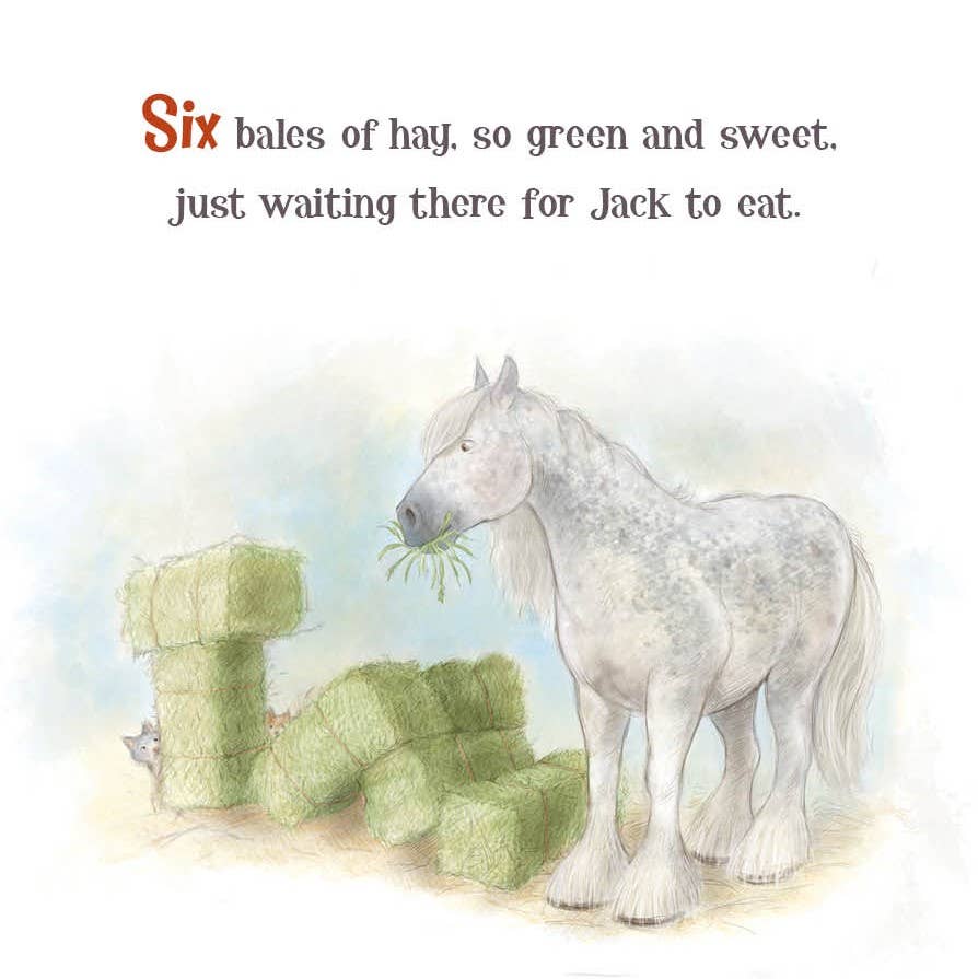 A Horse Named Jack Board Book