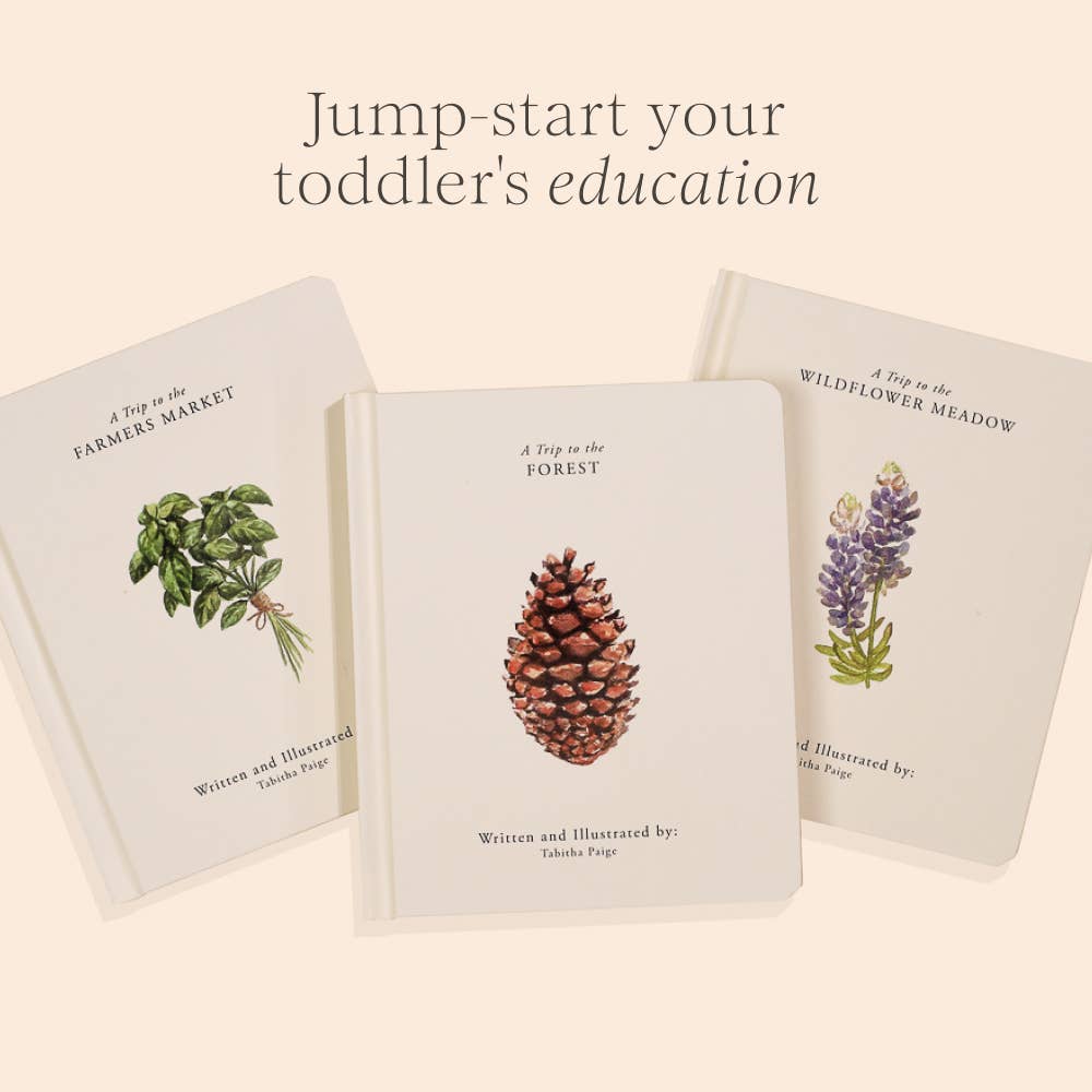 Our Little Adventures