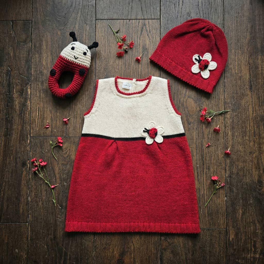 Ladybug Dress