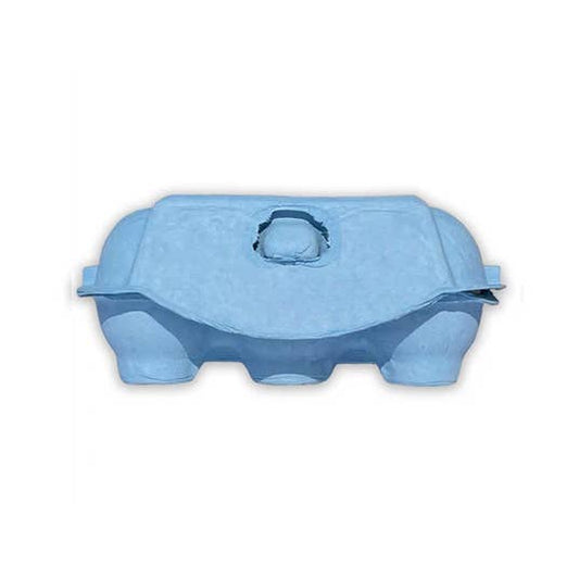Small Blue Egg Carton Display