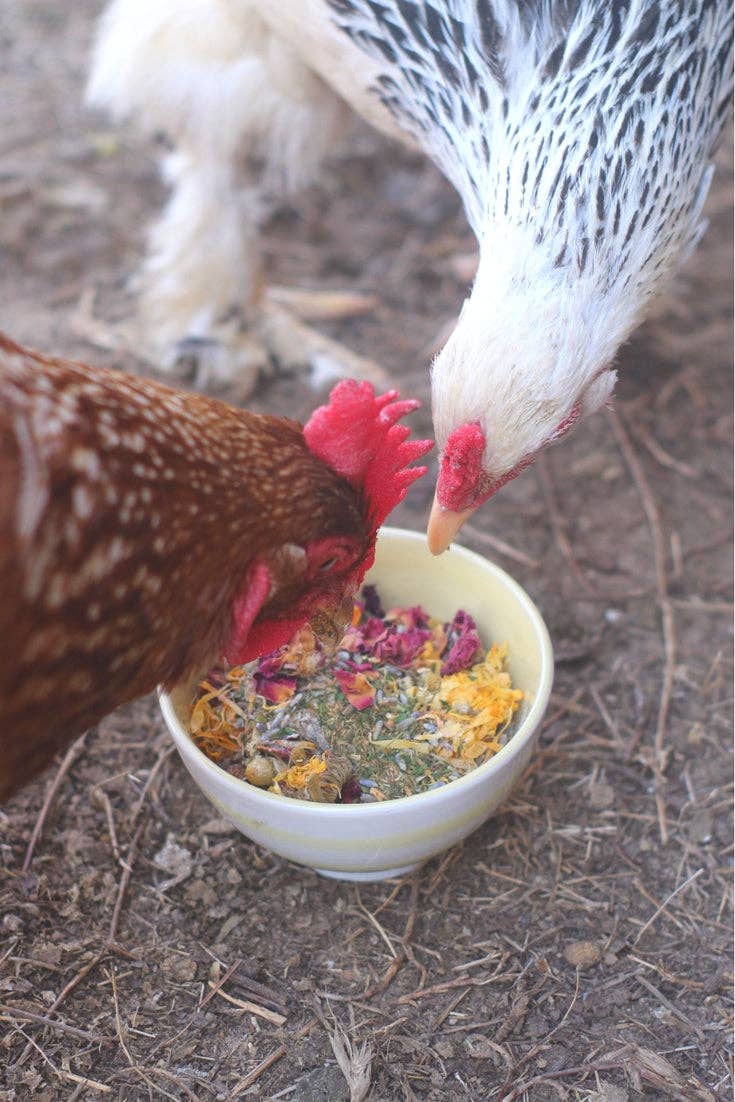Best Eggs Ever! (TM) Nesting Herbs For Pet Chickens: 20 ounces - Edwina Alexis