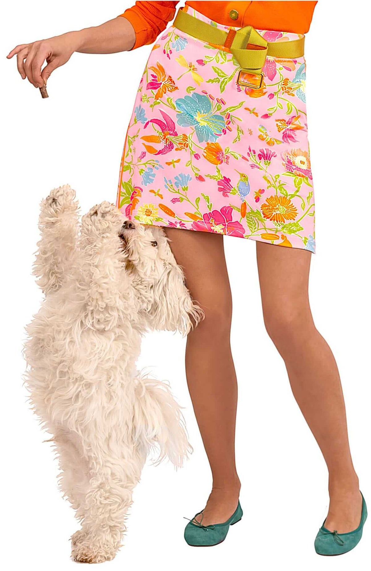 Jersey Skippy Skort - Birds & the Bees