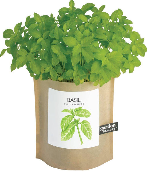 Garden in a Bag | Basil  | Gift idea for Cooks | Best Seller - Edwina Alexis