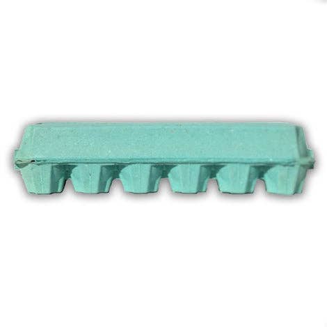 Large Teal Egg Carton Display