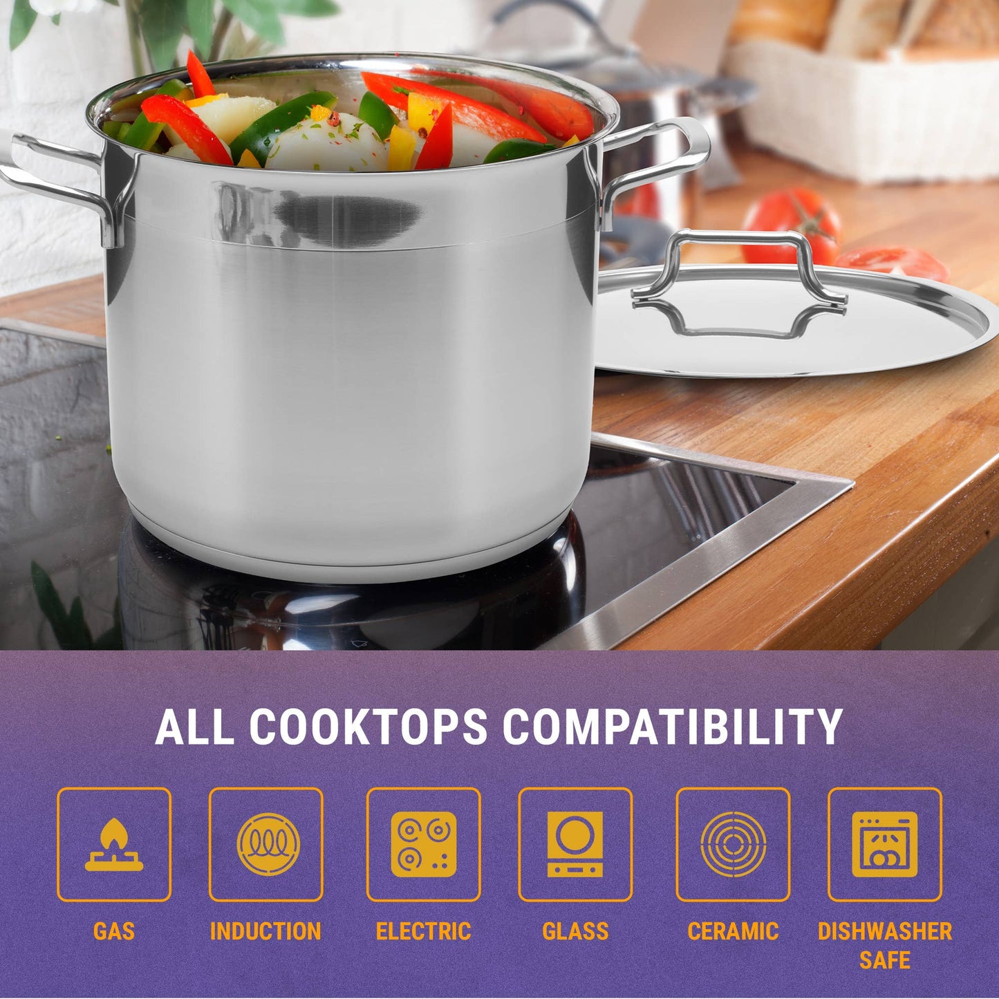Classic Stainless Steel Large Stockpot with Lid, 12 16 21 Qt: 21 Quart