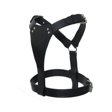 Load image into Gallery viewer, The Leather Dog Harness: X Large / Havana - Edwina Alexis