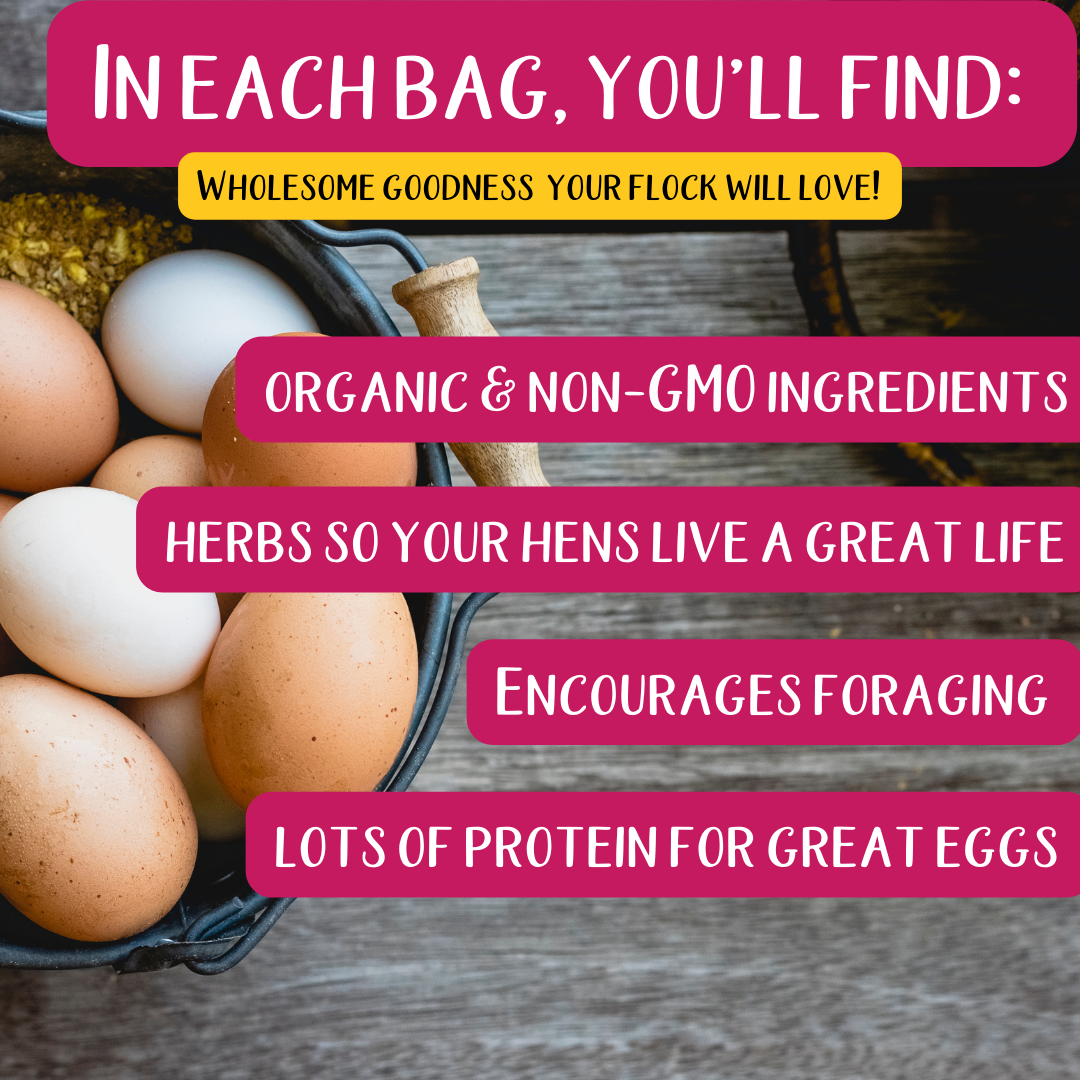 Omega Burst: Omega Rich Treat For Great Eggs & Feathers!: 4 pounds - Edwina Alexis