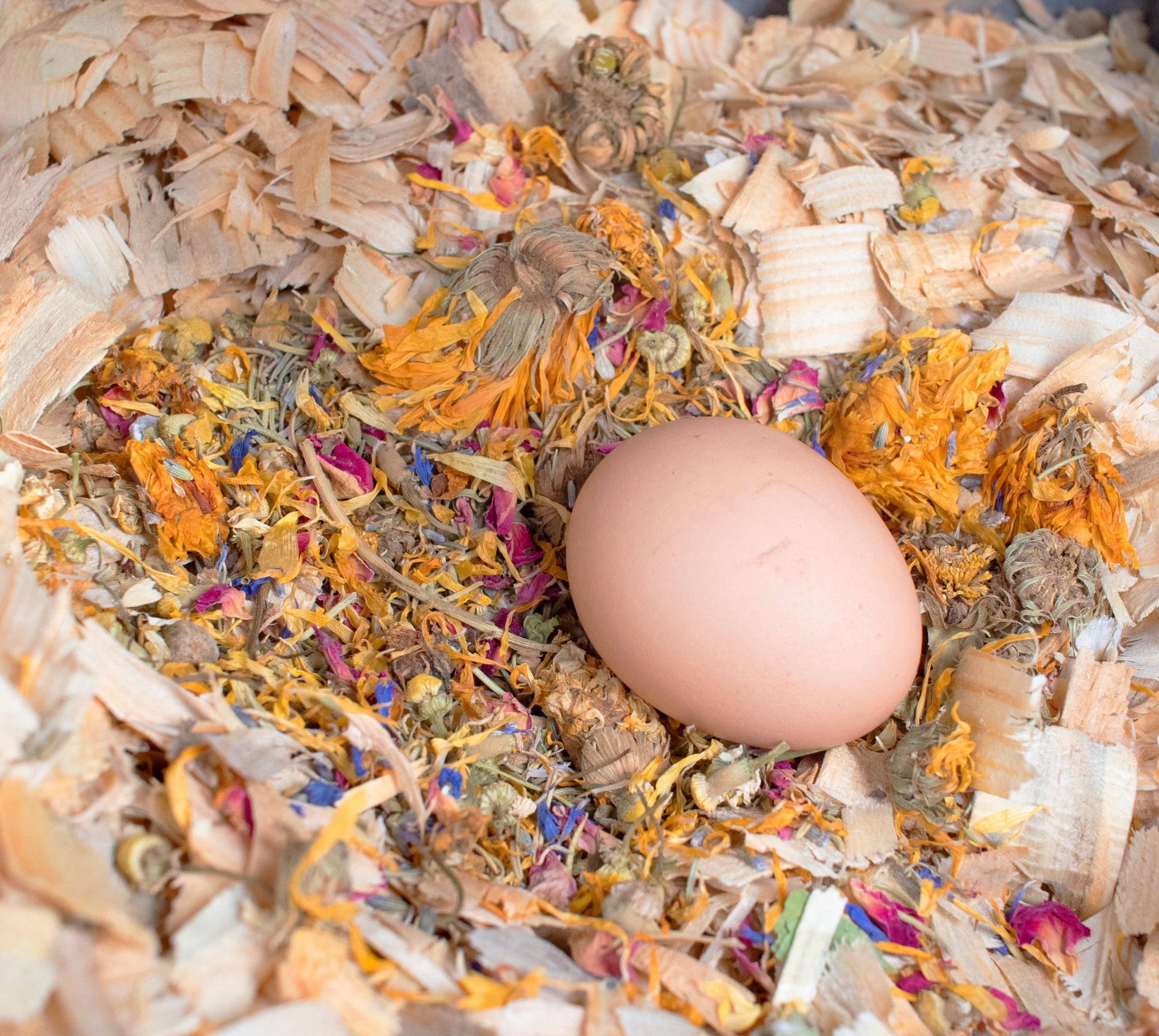 Best Eggs Ever! (TM) Nesting Herbs For Pet Chickens: 20 ounces - Edwina Alexis