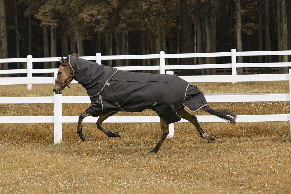 TuffRider All Season Ripstop Turnout Blanket