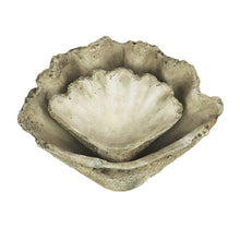 Load image into Gallery viewer, Cast Concrete Clam Shell: Large - Edwina Alexis