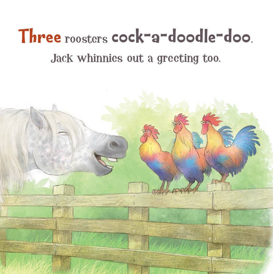 A Horse Named Jack Board Book