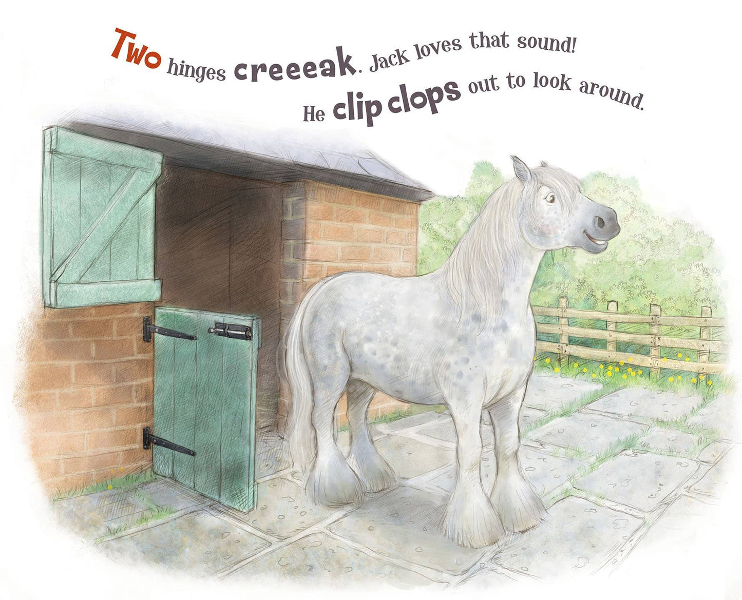 A Horse Named Jack Picture Book