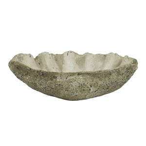 Cast Concrete Clam Shell: Large - Edwina Alexis