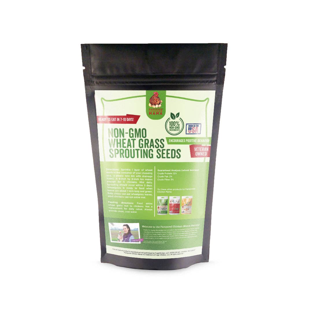 Non-GMO Wheat Seeds for Sprouting Fodder (Wheat Grass) -- Sustainably Grown In Missouri To Encourage Positive Behaviors: 3 pounds - Edwina Alexis