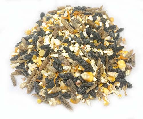 Omega Burst: Omega Rich Treat For Great Eggs & Feathers!: 4 pounds - Edwina Alexis