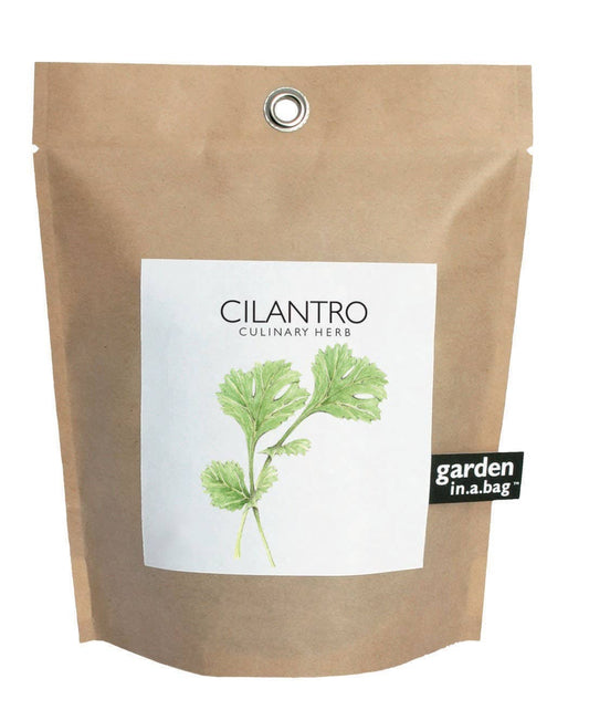 Garden in a Bag | Cilantro | Great gift for cooks - Edwina Alexis