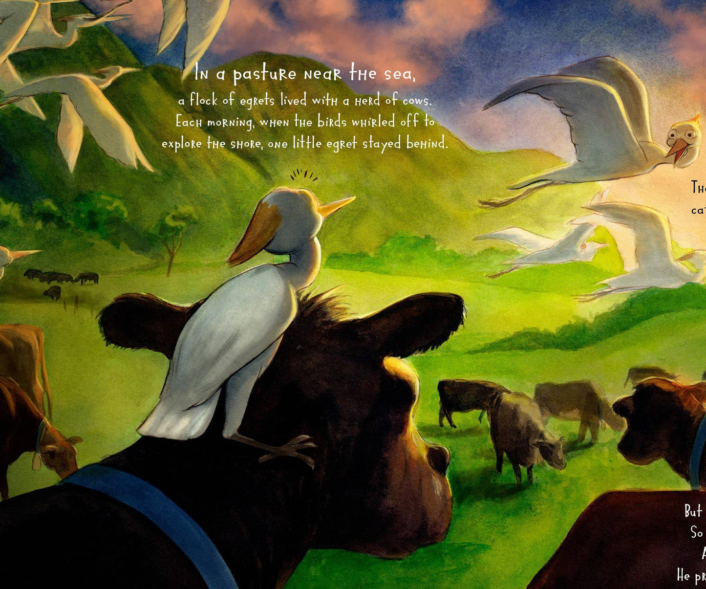 Where's My Cow? Picture Book