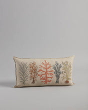Load image into Gallery viewer, Coral Studies Pillow: With Insert - Edwina Alexis