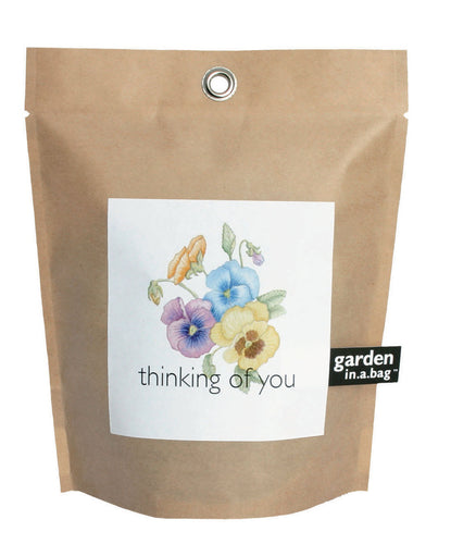 Garden-in-a-bag Thinking of You - Edwina Alexis