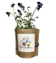 Load image into Gallery viewer, Garden-in-a-bag Thinking of You - Edwina Alexis