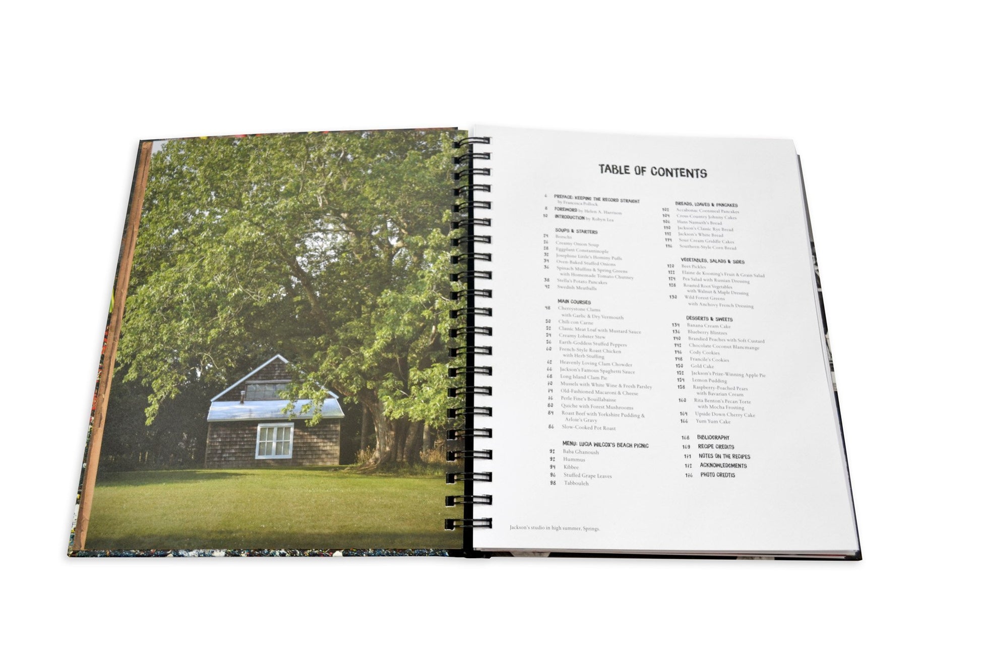 Dinner with Jackson Pollock: Recipes, Art & Nature - Edwina Alexis