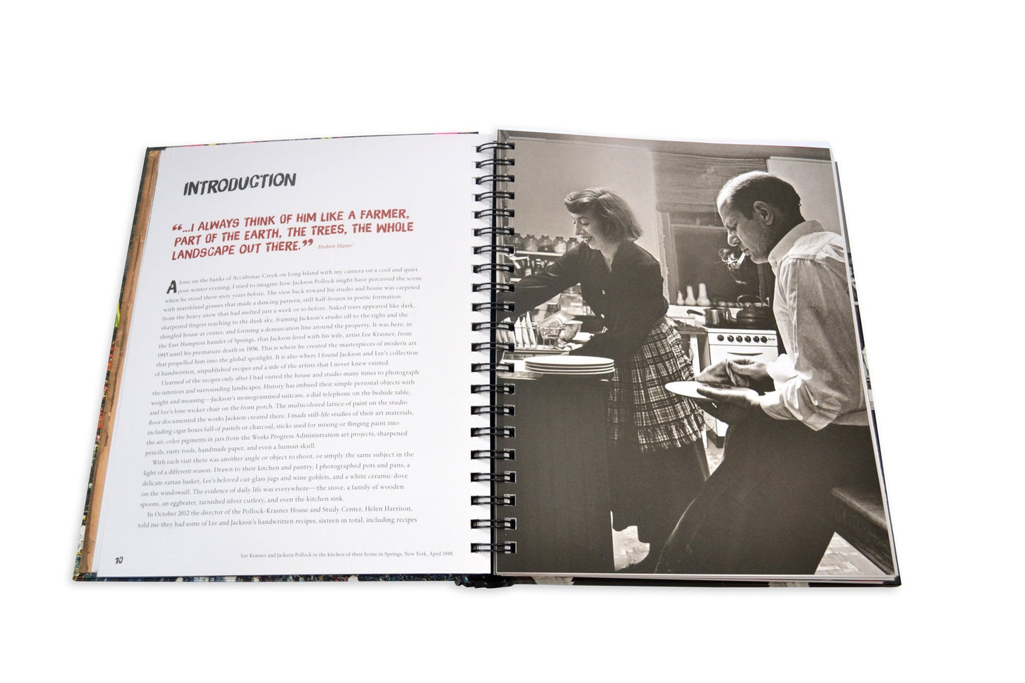 Dinner with Jackson Pollock: Recipes, Art & Nature - Edwina Alexis