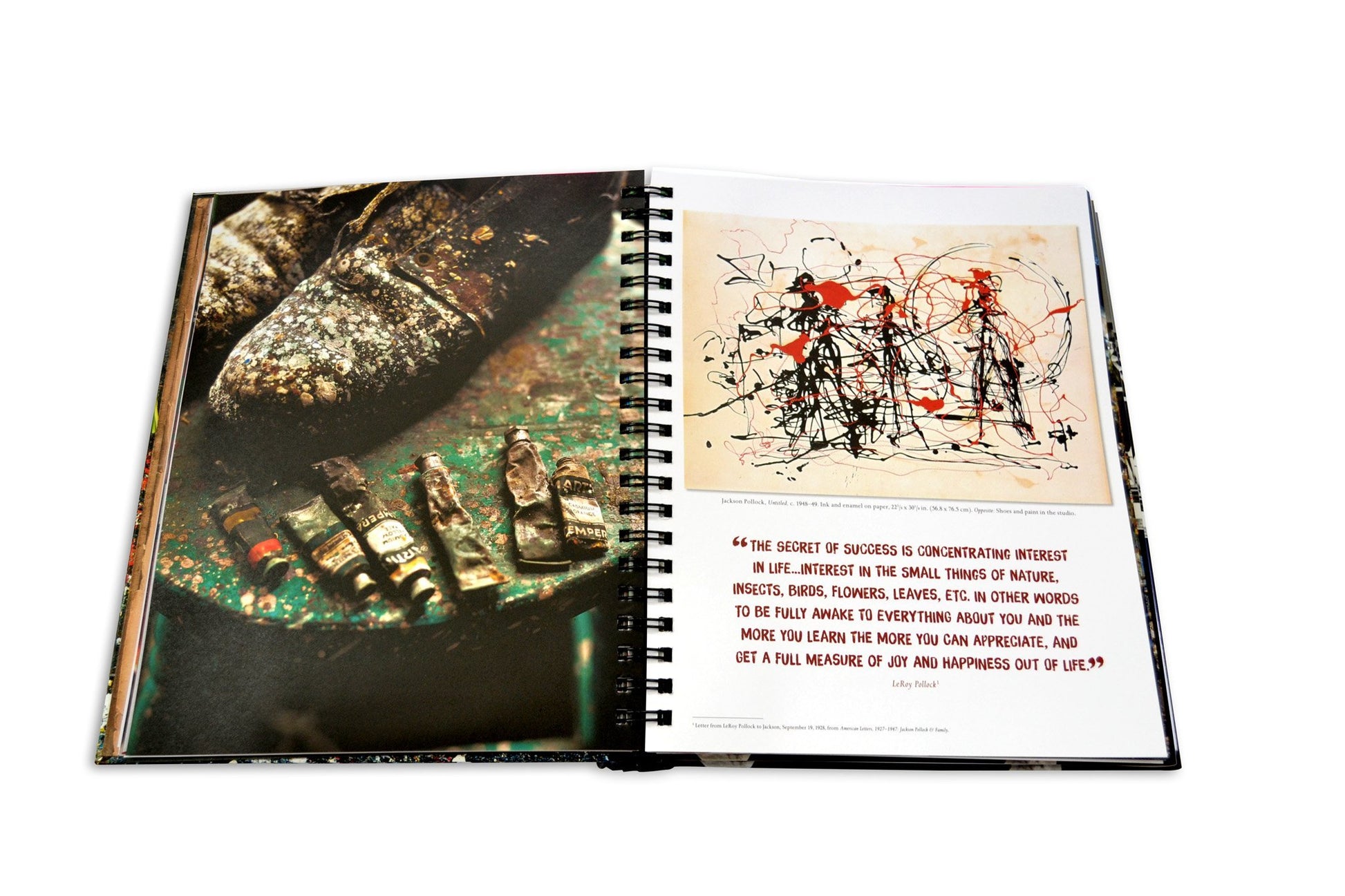 Dinner with Jackson Pollock: Recipes, Art & Nature - Edwina Alexis