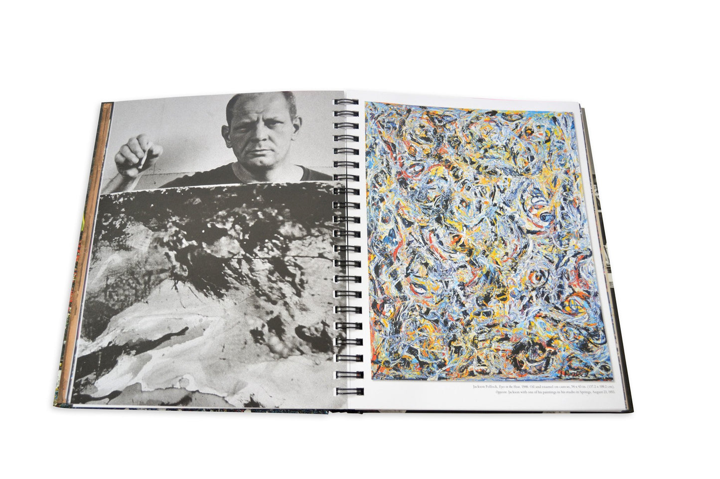 Dinner with Jackson Pollock: Recipes, Art & Nature - Edwina Alexis