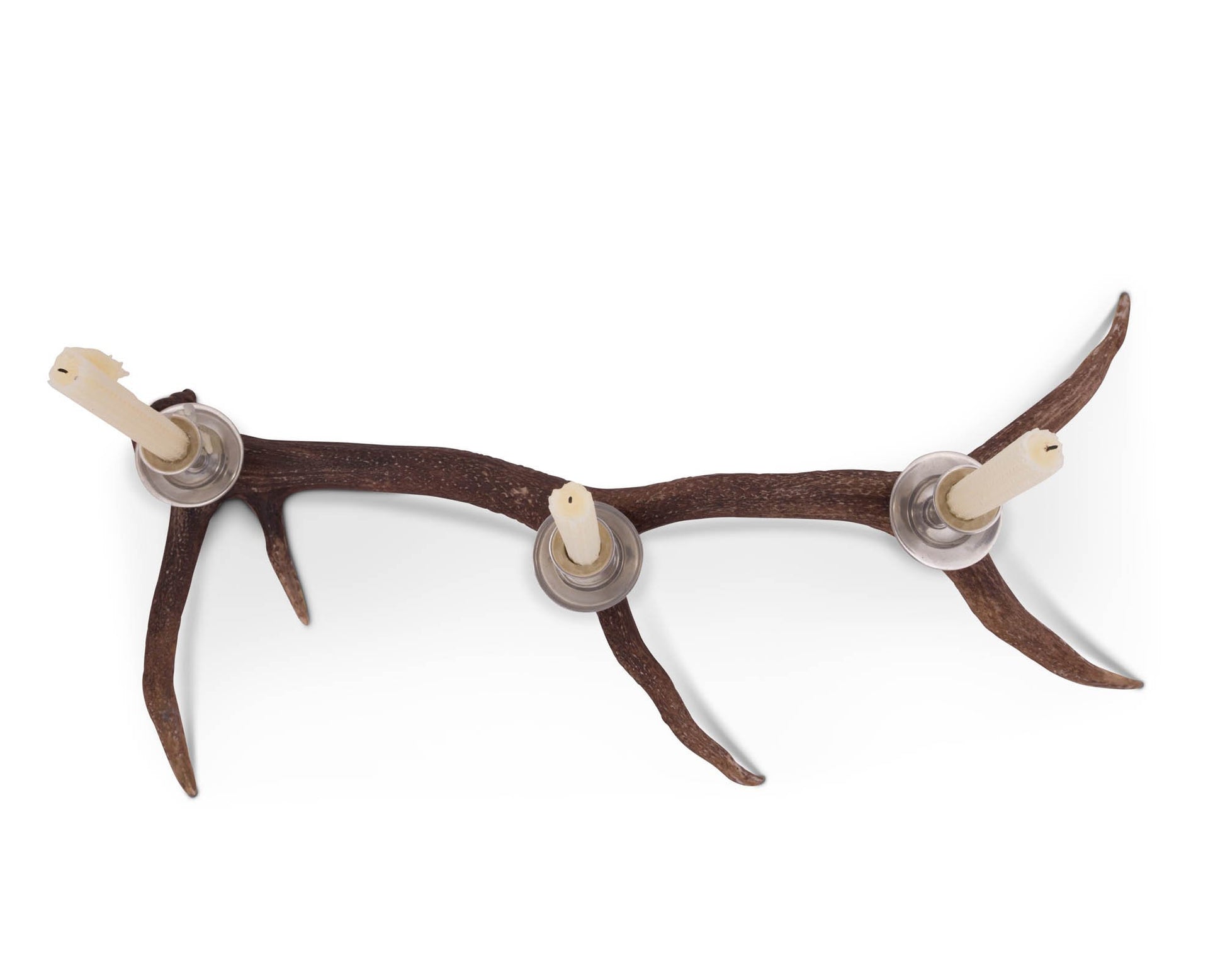 Antler - Resting Elk Table Candlestick - Edwina Alexis