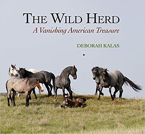 The Wild Herd: A Vanishing American Treasure - Edwina Alexis
