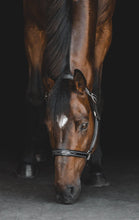 Load image into Gallery viewer, The Grand Prix Special Halter: Small Pony / Onyx - Edwina Alexis